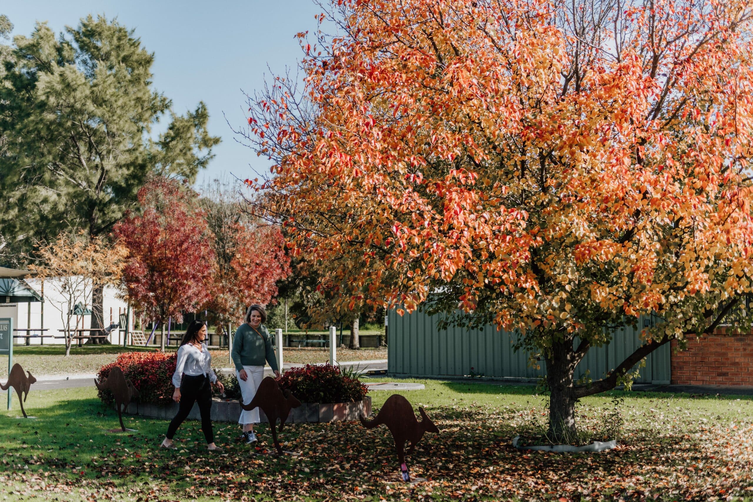 Discovering Yinnar – A Hidden Gem in the Heart of South Gippsland